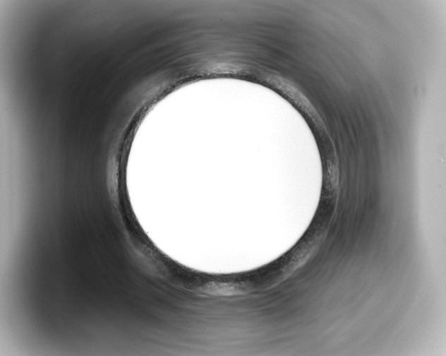 X0000099400534200805081243