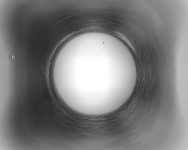 X0000099400535200805081243