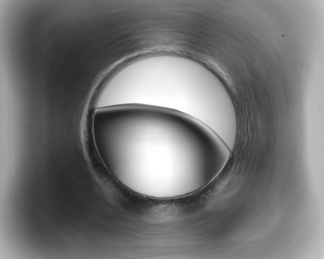 X0000099400536200805081243