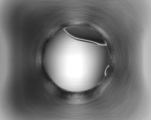 X0000099400546200805081243