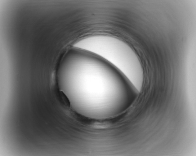 X0000099400556200805081243