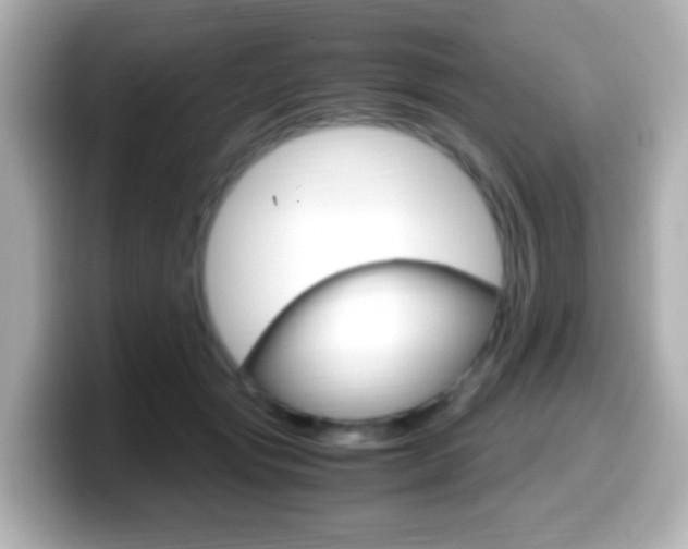 X0000099400557200805081243