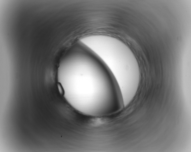 X0000099400558200805081243