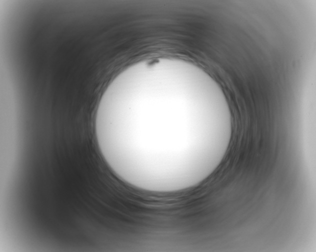 X0000099400559200805081243