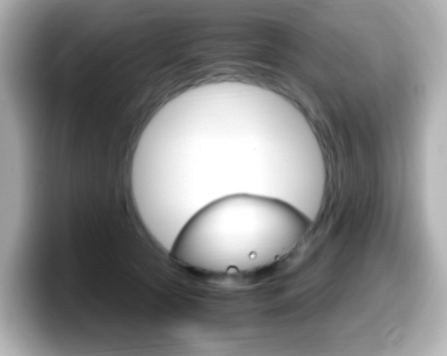 X0000099400561200805081243