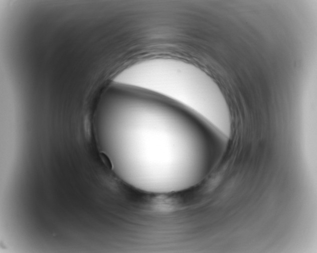 X0000099400562200805081244