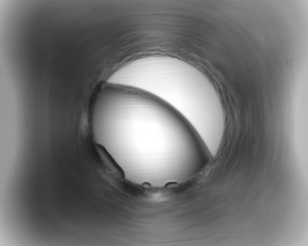X0000099400564200805081244