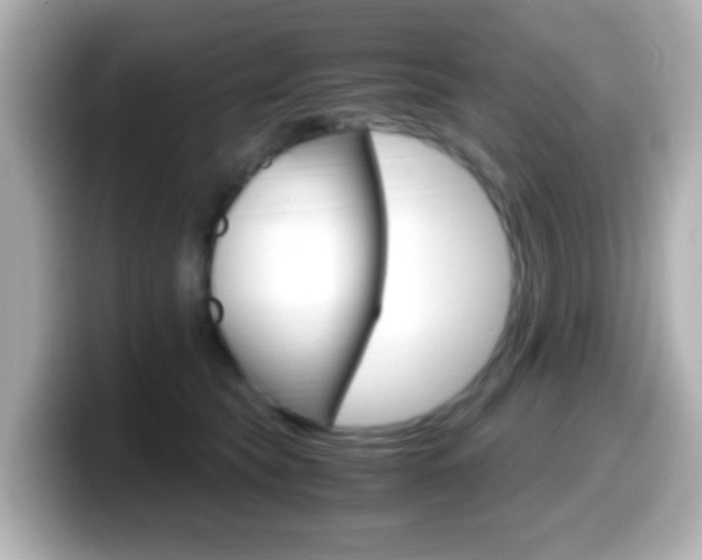 X0000099400565200805081244