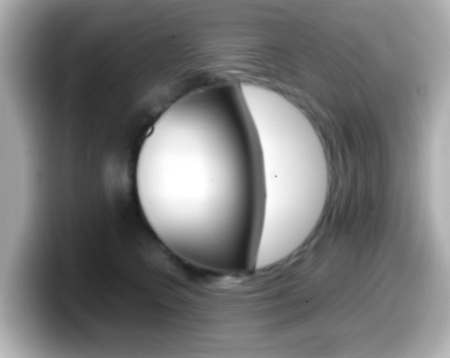 X0000099400566200805081244