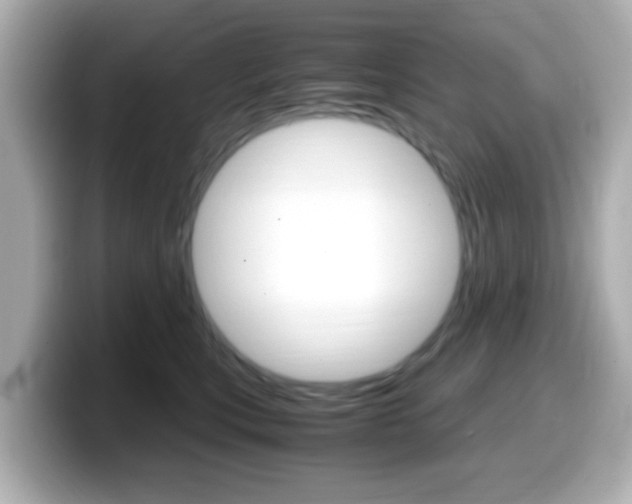 X0000099400567200805081244