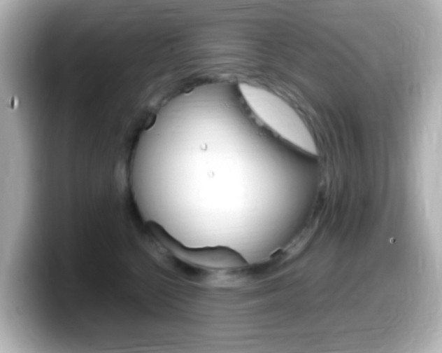 X0000099400568200805081244