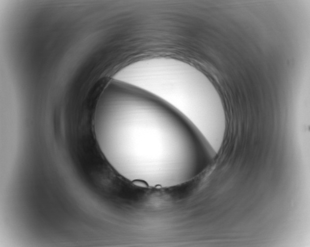 X0000099400572200805081244