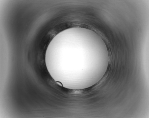 X0000099400573200805081244