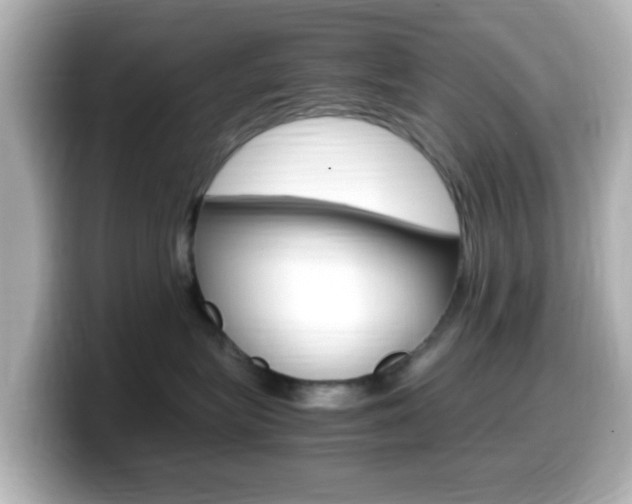X0000099400575200805081244