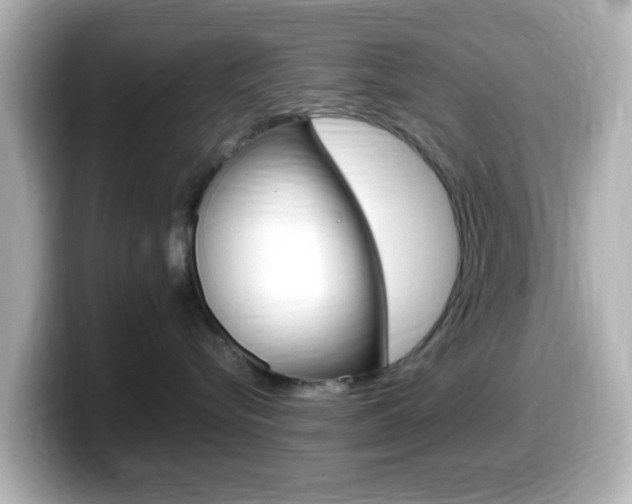 X0000099400576200805081244