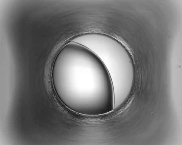 X0000099400577200805081243