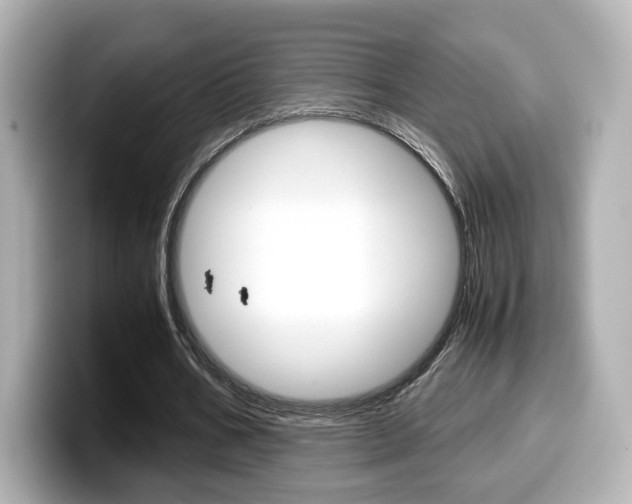 X0000099400578200805081243