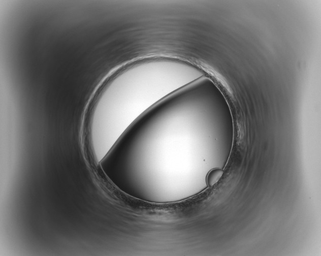 X0000099400580200805081243