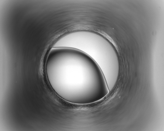 X0000099400581200805081243