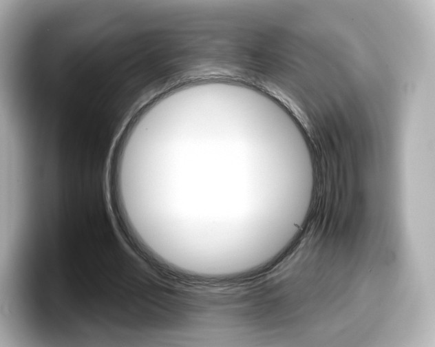 X0000099400582200805081243
