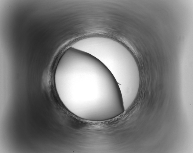 X0000099400583200805081243