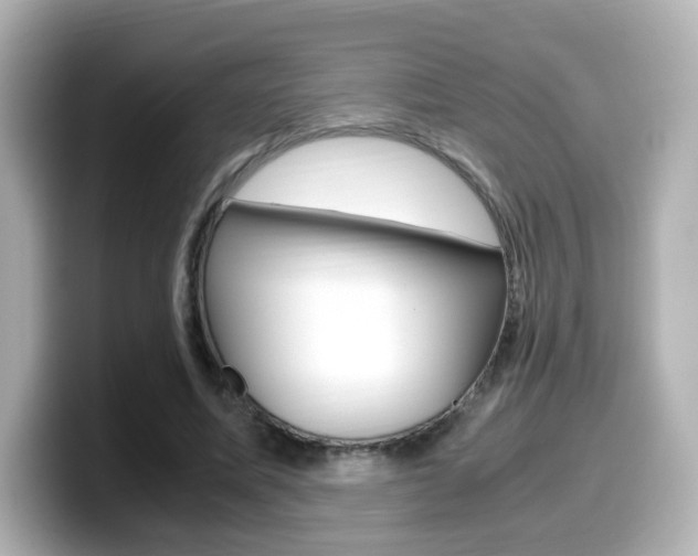 X0000099400587200805081243