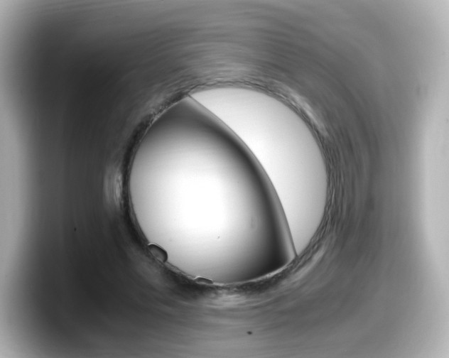 X0000099400589200805081243
