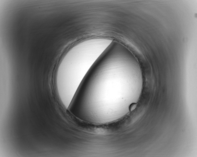 X0000099400592200805081243