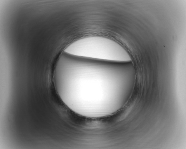 X0000099400594200805081243