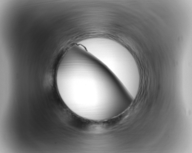 X0000099400595200805081243