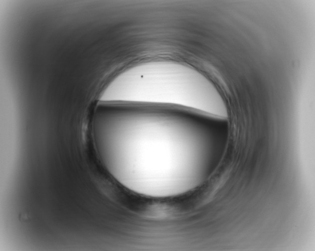 X0000099400596200805081243