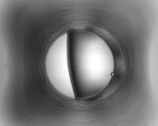 X0000099400600200805081243