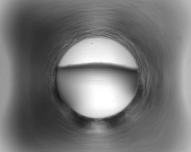 X0000099400603200805081243