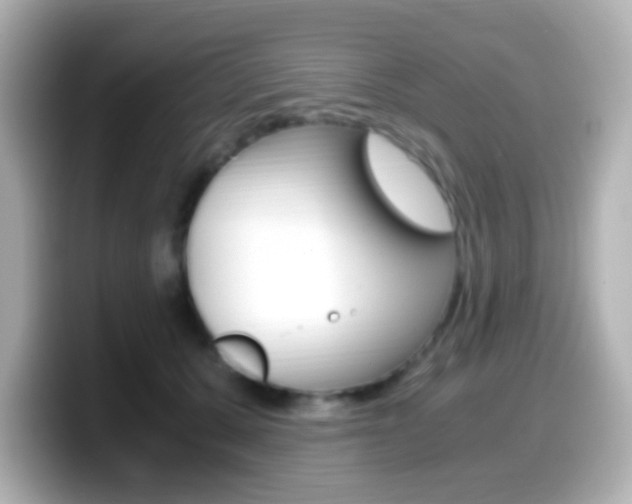 X0000099400607200805081243