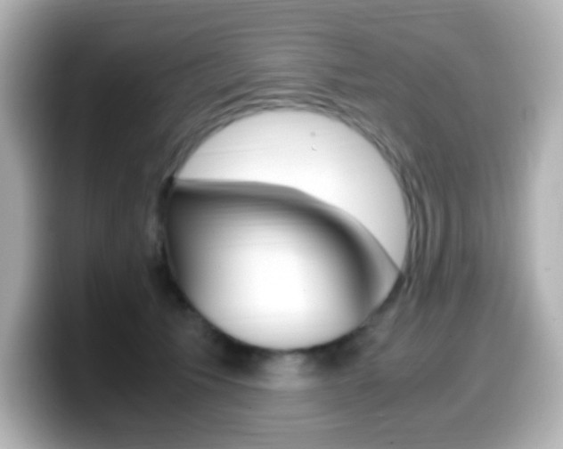X0000099400609200805081243