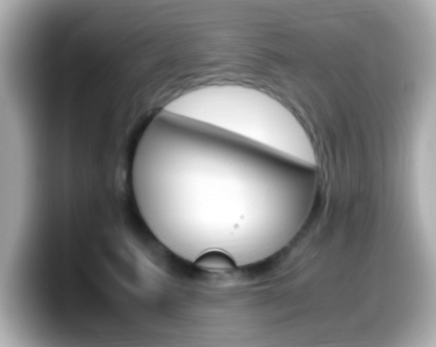 X0000099400615200805081243