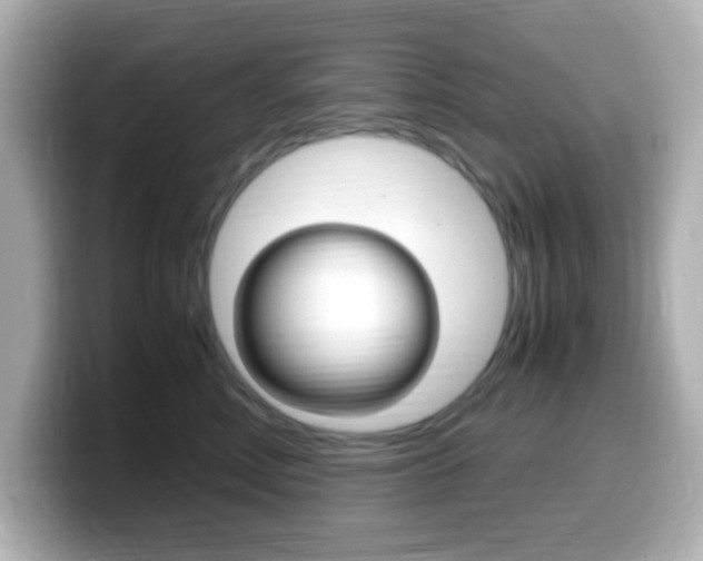 X0000099400618200805081243