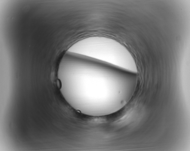 X0000099400619200805081243