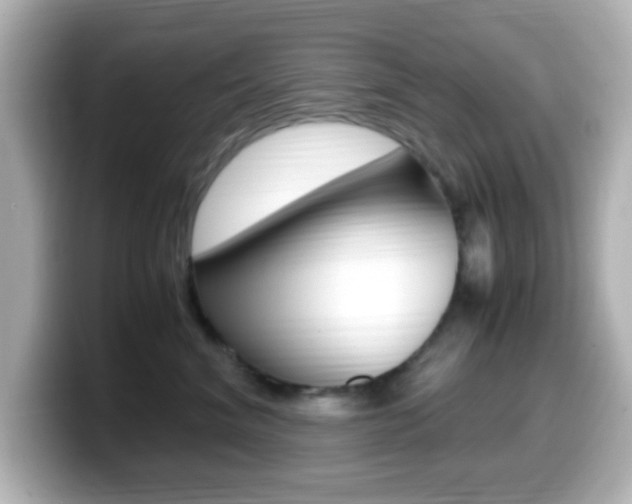 X0000099400620200805081242