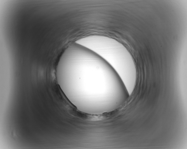 X0000099400621200805081242