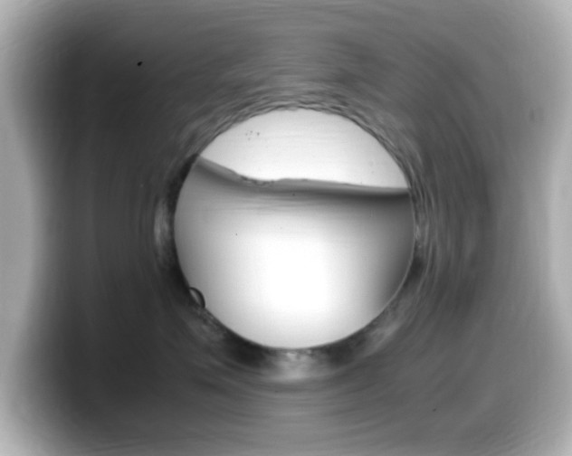 X0000099400623200805081242