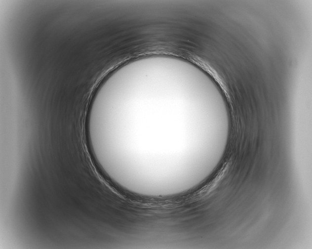 X0000099400625200805081242