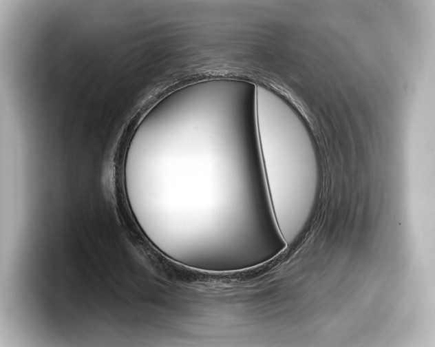X0000099400626200805081242