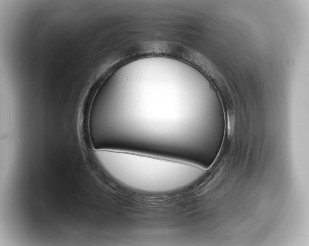 X0000099400627200805081242
