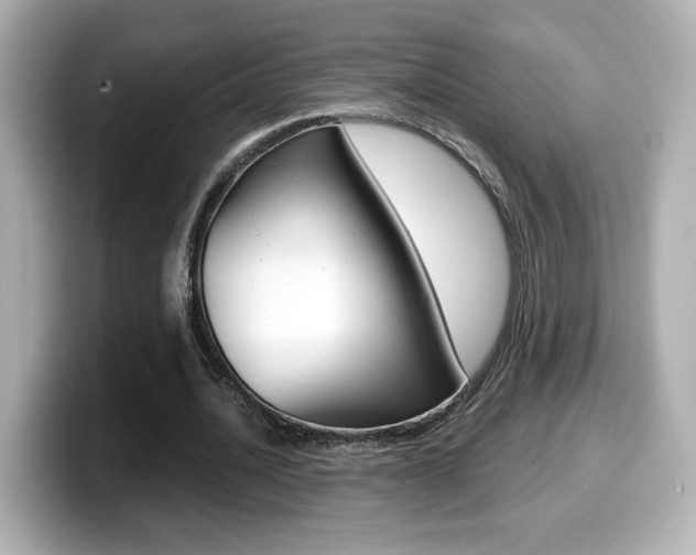 X0000099400628200805081242