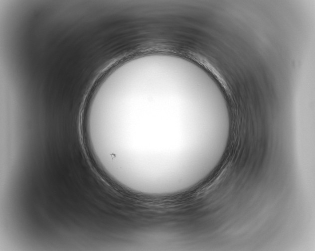 X0000099400629200805081242
