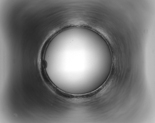 X0000099400630200805081242