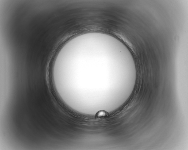 X0000099400631200805081242