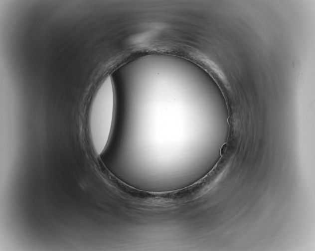 X0000099400633200805081242