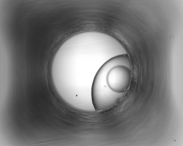 X0000099400639200805081242
